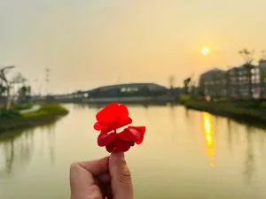 Sản phẩm z7478687909643_00f6a94abc41df8d2c35ba4bc9023704 300x225 — Công Ty Cổ Phần Cây Xanh Tiến Đức — MST 0101660316