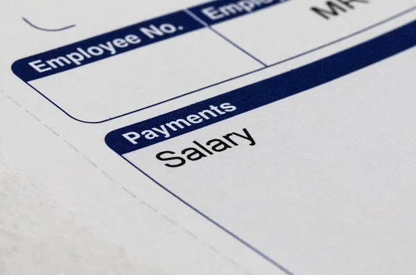Sản phẩm phanmem payslip intro — Công Ty TNHH Công Nghệ Mạng Nhỏ — MST 0101698101
