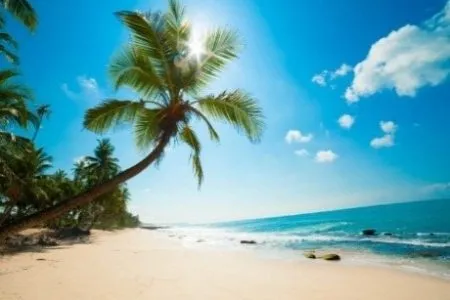 Sản phẩm ha noi phu quoc postum 2024 3 450x300 — Công Ty Cổ Phần Du Lịch Và Thương Mại Hải Đăng — MST 0101731119