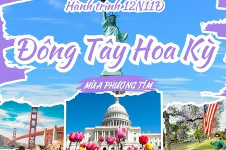 Sản phẩm bai mua phuong tim 1 450x300 — Công Ty Cổ Phần Du Lịch Và Thương Mại Hải Đăng — MST 0101731119