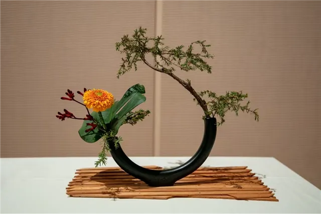 Sản phẩm anh dai d_638247540951373399_HasThumb_Thumb — Công Ty TNHH Phát Triển Văn Hóa - Giáo Dục Quốc Tế Việt — MST 0101742512