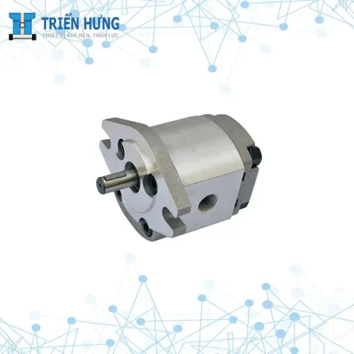 Sản phẩm HGP 1A 500x500 — Công Ty TNHH Thương Mại Dịch Vụ P & H Triển Hưng — MST 0101857922