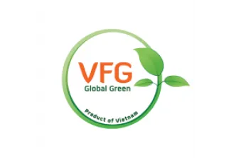 Văn phòng Công Ty Cổ Phần Tập Đoàn Giải Pháp Việt Nam #1429603921 — MST 0101909296