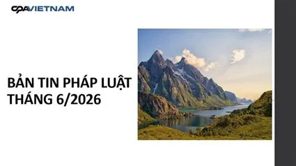 Sản phẩm anh dai dien_4821_HasThumb_Thumb — Công Ty TNHH Kiểm Toán CPA VIETNAM — MST 0101917917