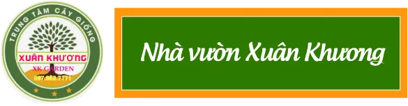 Logo Trang Trại SX Cây Giống Xuân Khương