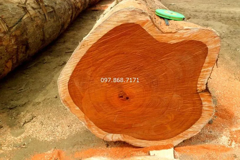 Sản phẩm go tech — Trang Trại SX Cây Giống Xuân Khương — MST 0101925731