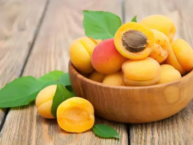 Sản phẩm qua cay mo 2 — Trang Trại SX Cây Giống Xuân Khương — MST 0101925731