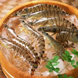 Sản phẩm 1467777384 Tom tuoi 300x300 — Thực Phẩm Hoàng Đông - Công Ty TNHH Thực Phẩm Hoàng Đông — MST 0101929895