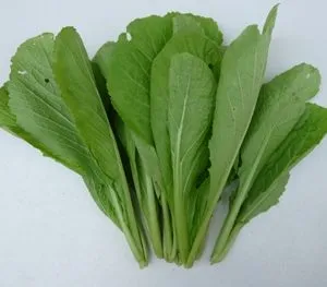 Sản phẩm Cải xanh cắt gốc 300x263 — Thực Phẩm Hoàng Đông - Công Ty TNHH Thực Phẩm Hoàng Đông — MST 0101929895