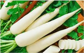 Sản phẩm Củ cải 1 — Thực Phẩm Hoàng Đông - Công Ty TNHH Thực Phẩm Hoàng Đông — MST 0101929895
