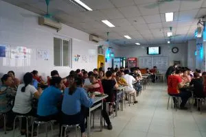 Sản phẩm cedo3 300x200 — Công ty CP Thương Mại & Dịch Vụ Nhật Lâm — MST 0101942783