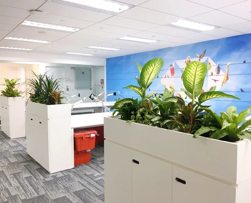 Sản phẩm a2 — Công Ty Cổ Phần Tập Đoàn Tầm Nhìn Châu á — MST 0101950600