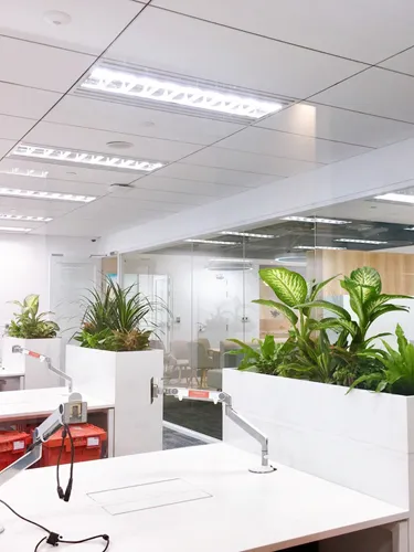 Sản phẩm s1 — Công Ty Cổ Phần Tập Đoàn Tầm Nhìn Châu á — MST 0101950600