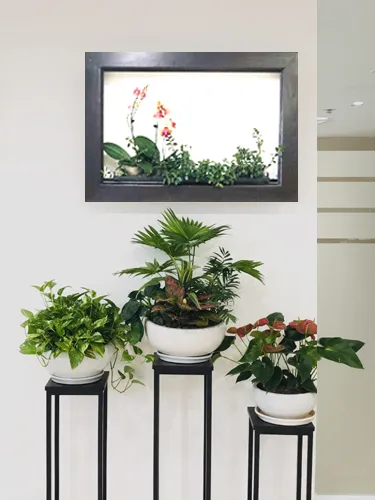 Sản phẩm s3 202105 — Công Ty Cổ Phần Tập Đoàn Tầm Nhìn Châu á — MST 0101950600
