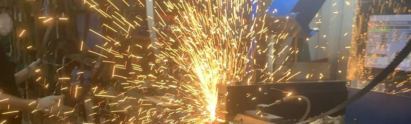 Sản phẩm Anh han LCV 2 1280x387 — Công Ty TNHH TM Và DV Thiên Lộc Phát — MST 0101977521