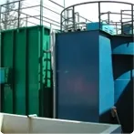 Sản phẩm Tusem auctor mauris — Công ty TNHH Phát Triển Anh Quân — MST 0101986692