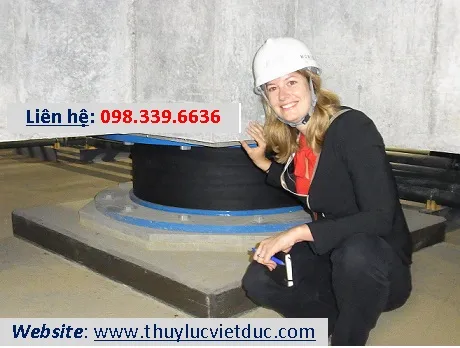 Sản phẩm nang dam thay goi 13 — Công Ty Cổ Phần Thiết Bị Thuỷ Lực Việt Đức — MST 0102018750