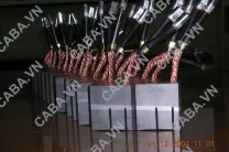 Sản phẩm instroduction brsuh 003 208x138 — Công Ty TNHH Ca Ba — MST 0102021859