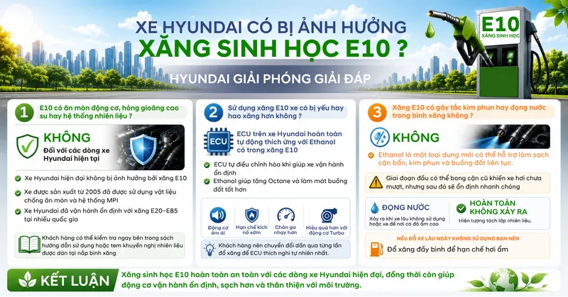 Sản phẩm E10 XANG SINH HOC — Công Ty Cổ Phần Ô Tô Hyundai Giải Phóng — MST 0102055174