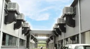 Sản phẩm 124124124 2 300x162 — Công Ty TNHH Thương Mại Và Dịch Vụ Kỹ Thuật Nhà Việt — MST 0102066698