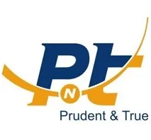 Logo Kiểm Toán PNT - Công Ty TNHH Kiểm Toán Quốc tế PNT