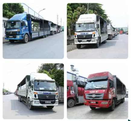 Sản phẩm Capture 3 434x400 — Vận Tải Thành Mỹ - Công Ty Cổ Phần Đầu Tư Thành Mỹ — MST 0102137324
