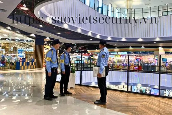 Sản phẩm Aeon — Công Ty CP Dịch Vụ Bảo Vệ Sao Việt — MST 0102138127