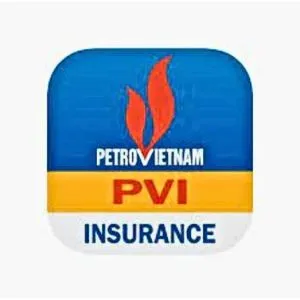 Sản phẩm PVI — Công Ty CP Dịch Vụ Bảo Vệ Sao Việt — MST 0102138127