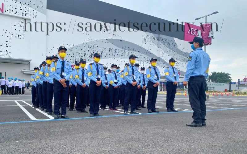 Sản phẩm ST6 — Công Ty CP Dịch Vụ Bảo Vệ Sao Việt — MST 0102138127