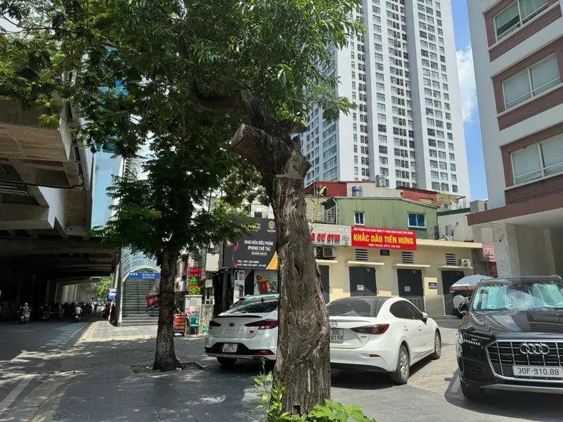Sản phẩm 1780651327246 image 7904031857126 11780883552 — Công Ty TNHH Công Nghệ Tiến Hưng — MST 0102192050