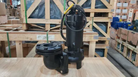 Sản phẩm bom chim 1 1kw 1 5hp 2 450x253 — Công Ty TNHH Pedrollo Việt Nam — MST 0102248793