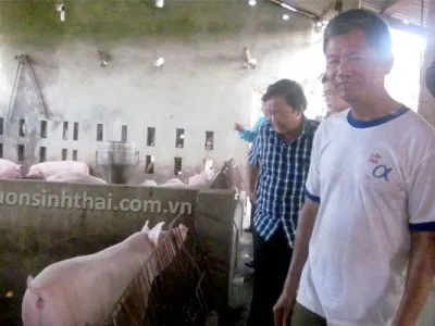 Sản phẩm mo hinh chan nuoi lon che pham sinh hoc vuon sinh thai 48c6ba5c — Công Ty TNHH Thương Mại Trung Việt — MST 0102287979