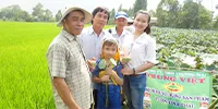 Sản phẩm mo hinh trong sen lua 54644aaf — Công Ty TNHH Thương Mại Trung Việt — MST 0102287979