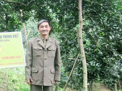 Sản phẩm mo_hinh_trong_cam_sinh_hoc d205e446 — Công Ty TNHH Thương Mại Trung Việt — MST 0102287979