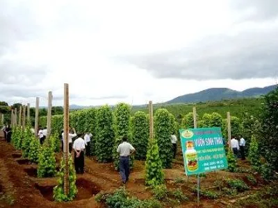 Sản phẩm mo_hinh_nong_nghiep dd476843 — Công Ty TNHH Thương Mại Trung Việt — MST 0102287979