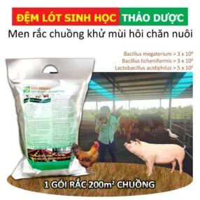 Sản phẩm Men dem lot 286x286 — Công Ty TNHH Thương Mại Trung Việt — MST 0102287979