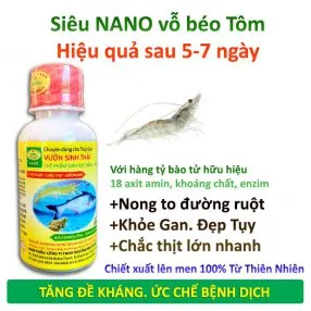 Sản phẩm SIEU VO BEO TOM 1 286x286 — Công Ty TNHH Thương Mại Trung Việt — MST 0102287979