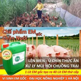 Sản phẩm che pham sinh hoc em goc chan nuoi 286x286 — Công Ty TNHH Thương Mại Trung Việt — MST 0102287979