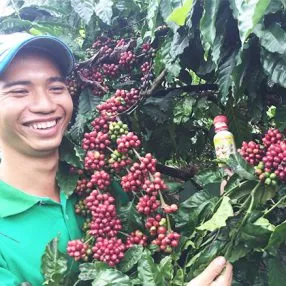 Sản phẩm che pham sinh hoc vuon sinh thai cho cay ca phe 286x286 — Công Ty TNHH Thương Mại Trung Việt — MST 0102287979