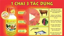Sản phẩm che pham vuon sinh thai la gi 1 — Công Ty TNHH Thương Mại Trung Việt — MST 0102287979