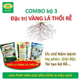 Sản phẩm combo vang la thoi re 286x286 — Công Ty TNHH Thương Mại Trung Việt — MST 0102287979
