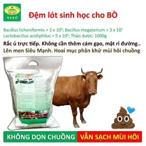 Sản phẩm dem lot bo 286x286 — Công Ty TNHH Thương Mại Trung Việt — MST 0102287979