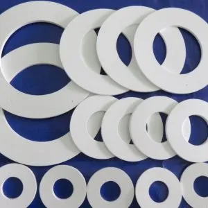Sản phẩm gioang Teflon 300x300 — Công Ty CP ứng Dụng Và Triển Khai Công Nghệ ADT — MST 0102290900