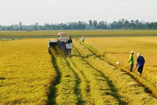 Sản phẩm So Do 4 — Luật Đại Việt - Công Ty Luật TNHH Đại Việt — MST 0102303317