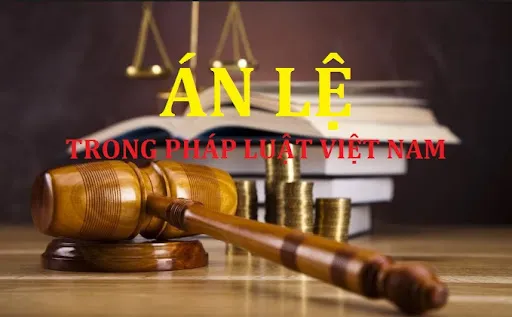 Sản phẩm unnamed — Luật Đại Việt - Công Ty Luật TNHH Đại Việt — MST 0102303317