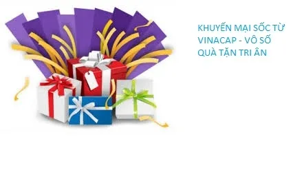 Sản phẩm KM1 — Công Ty Cổ Phần Vinacap Kim Long — MST 0102306413