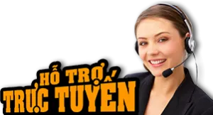 Sản phẩm ho tro truc tuyen 300x162 — Công Ty Cổ Phần Thương Mại D&T Việt Nam — MST 0102339673