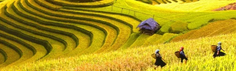 Sản phẩm 1495559295_1sapavietnam — Vietindo Travel - Công Ty TNHH Việt Nam Đông Dương — MST 0102365031