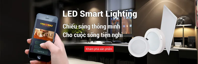Sản phẩm 2_2_1 — Công Ty CP Tập Đoàn MBG — MST 0102382580