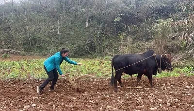 Sản phẩm avis de marie claude 5 jours mai chau cao bang — Vietnam Original Travel - Công Ty TNHH Lữ Hành Cội Nguồn Việt — MST 0102388399